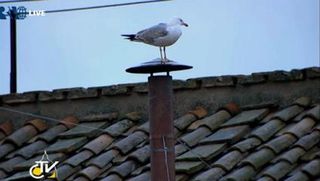 Mouette élection François